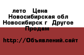 Michelin 225/65R17 лето › Цена ­ 4 000 - Новосибирская обл., Новосибирск г. Другое » Продам   